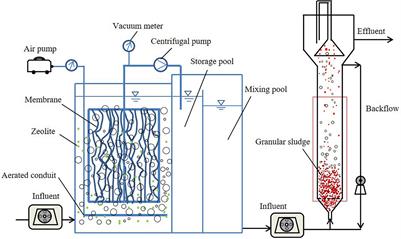 Integration of Zeolite Membrane Bioreactor With Granular Sludge-Based Anammox in High-Efficiency Nitrogen Removal From Iron Oxide Red Wastewater